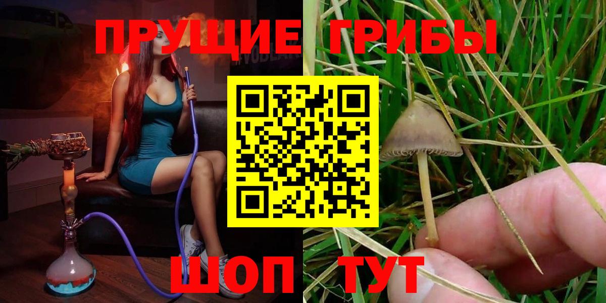 Кохма  где купить наркоту  Вход с VPN  Галлюциногенные грибы MAGIC MUSHROOMS 